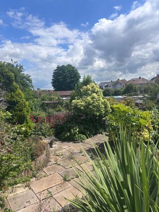 6, Haig Avenue, Rochester photo 3