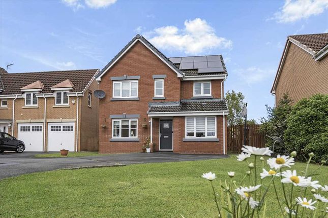 Thumbnail Detached house for sale in Cleuch Place, Maddiston, Falkirk