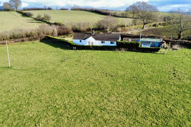 Dji_Fly_20250226_150932_257_1740582665114_Photo_Op
