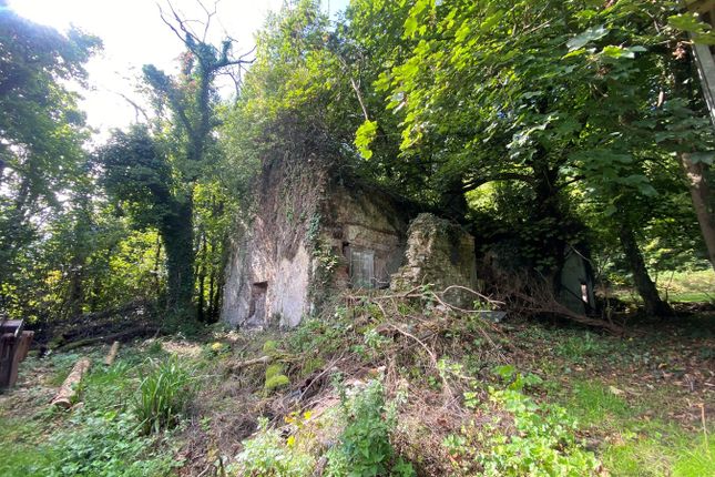 Llangibby Castle House, Castle Drive, Llangybi photo 2