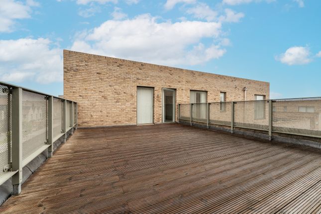 Second Floor Terrace