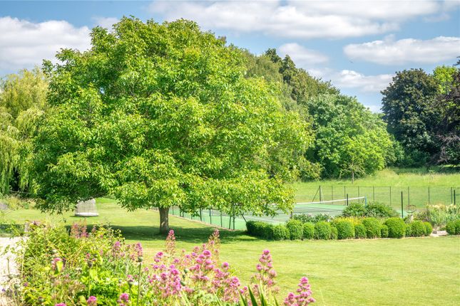 Grounds