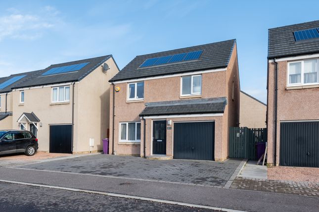 Thumbnail Detached house for sale in Finlay Crescent, Arbroath