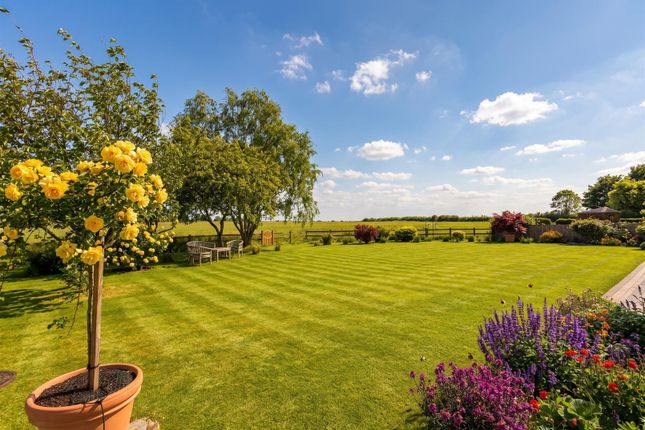 4, Mayfield, Kingsfield Court, Beckingham photo 3