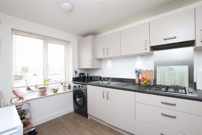 27, Fortibus Road, Exeter photo 3