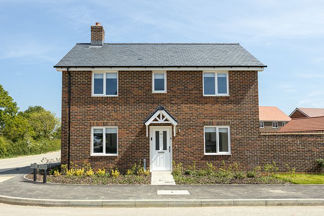 Homes To Rent In Hailsham East Sussex