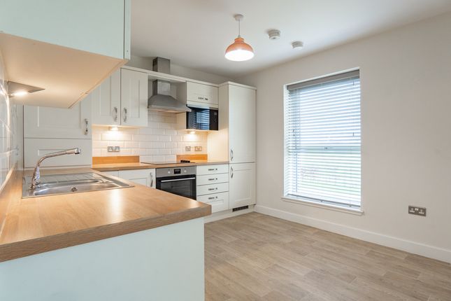 42, Jasmine Drive, Elgin photo 4