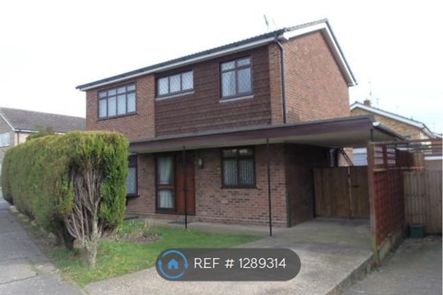 Thumbnail Detached house to rent in Tangerine Close Colchester, Colchester