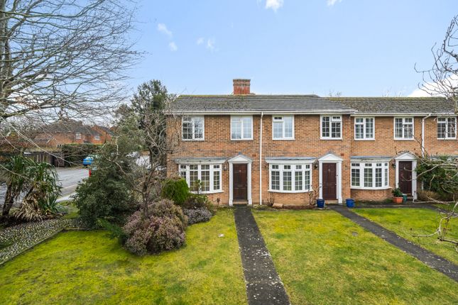 Thumbnail End terrace house for sale in Lower Edgeborough Road, Guildford