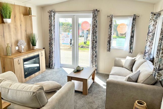 Foxglove Field, White Rose Holiday Park, Thirsk photo 4