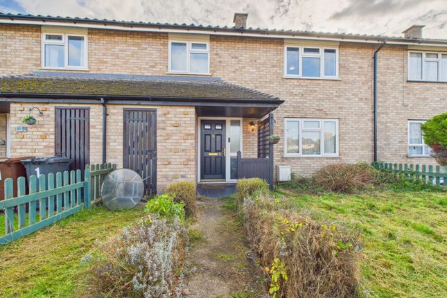 Cam01909G0-Pr0412-Still012