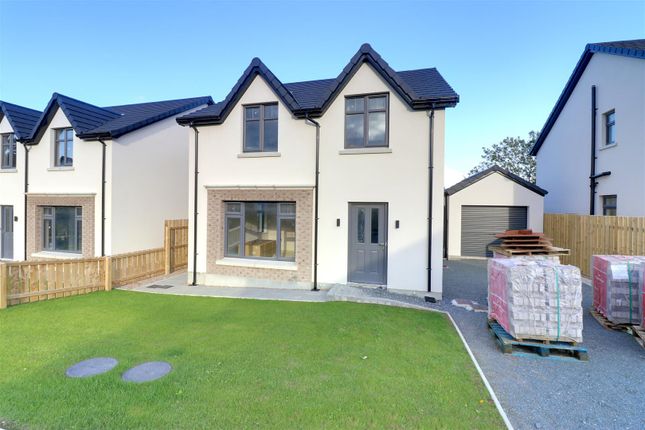 Thumbnail Detached house for sale in Site 6 Ballyfrenis Meadow, Abbey Road, Millisle, Newtownards