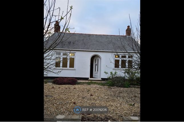 Thumbnail Bungalow to rent in Boston Road South, Holbeach