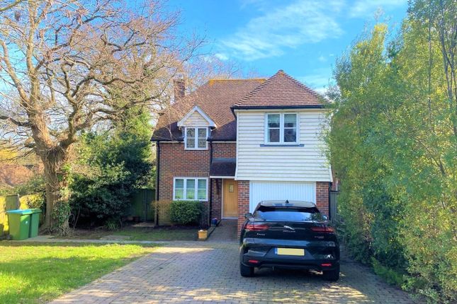 Thumbnail Detached house to rent in Three Oaks, Pearson Road, Arundel, West Sussex