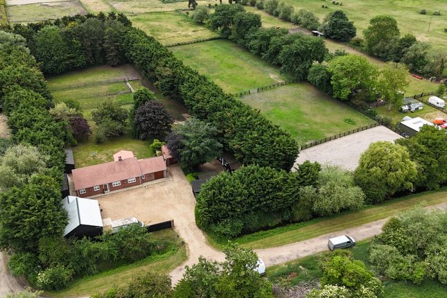 Thumbnail Detached bungalow for sale in Moor Drove, Hockwold, Thetford