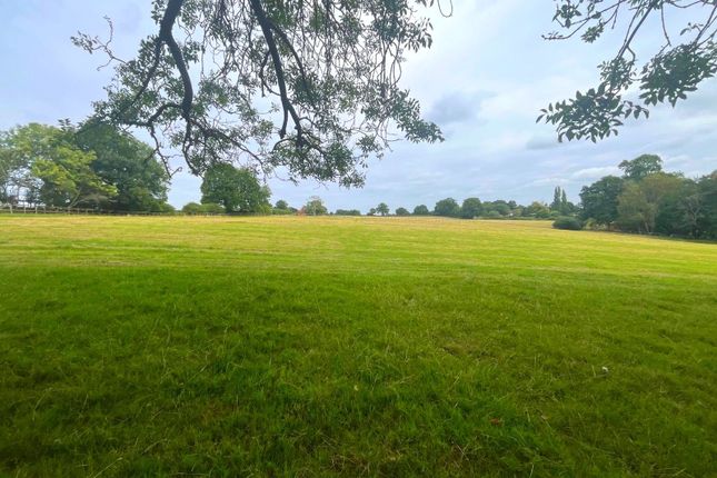 Manor Farm Stud,, Frant, Tunbridge Wells photo 2