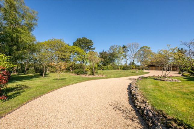 Trumpetts Farm,, Bodle Street Green, Hailsham photo 3
