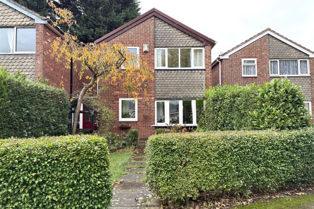 6 Swallow Front.Jpeg