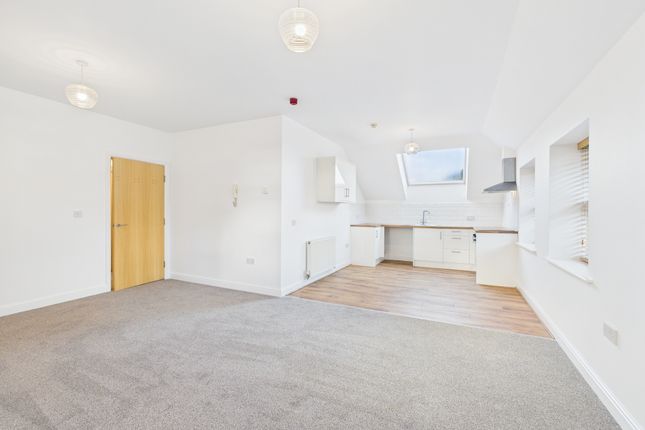 F4 46, Chanterlands Avenue, Hull photo 3