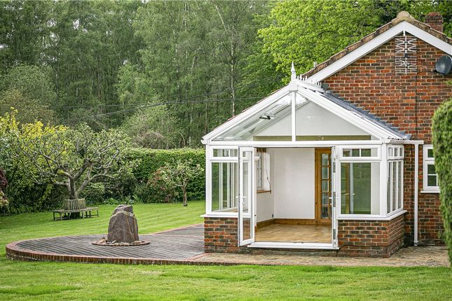 Bungalow to rent in Sparrow Row, Chobham, Woking, Surrey