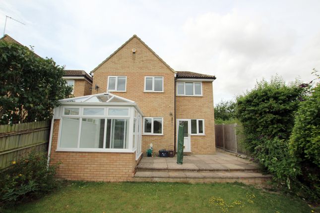 Detached house to rent in Betony Vale, Royston