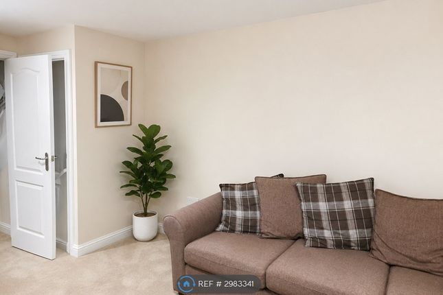 Kings Avenue, Ashford photo 5