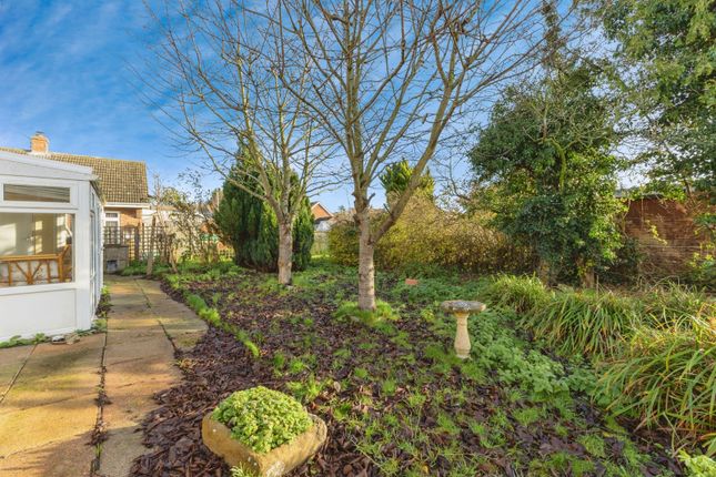 33, Charles Avenue, Thetford photo 4