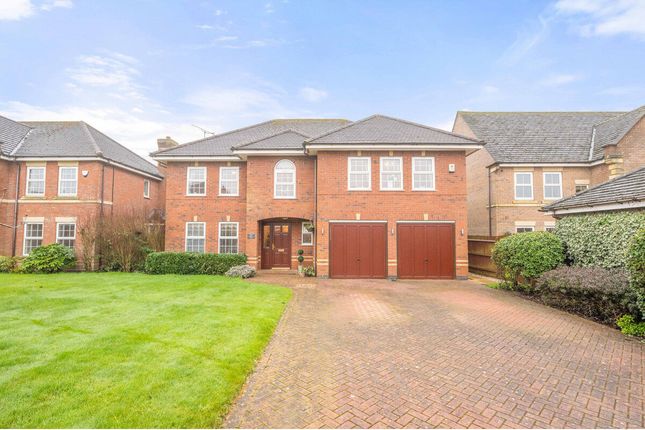 Thumbnail Detached house for sale in Chestnut Drive, Stretton Hall