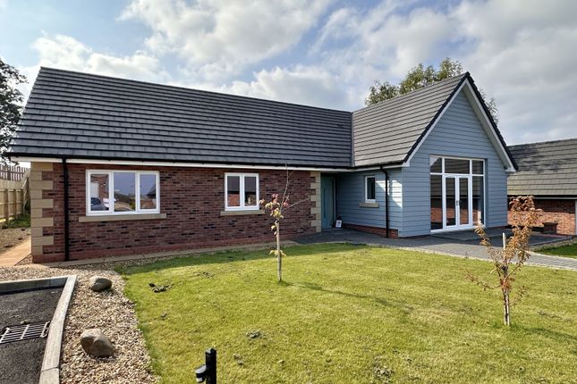 Thumbnail Bungalow to rent in Scotby