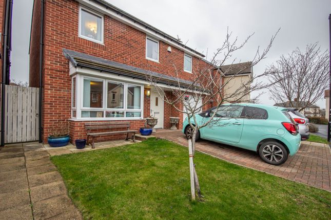 Thumbnail Detached house for sale in Warrington Grove, North Shields, Tyne And Wear