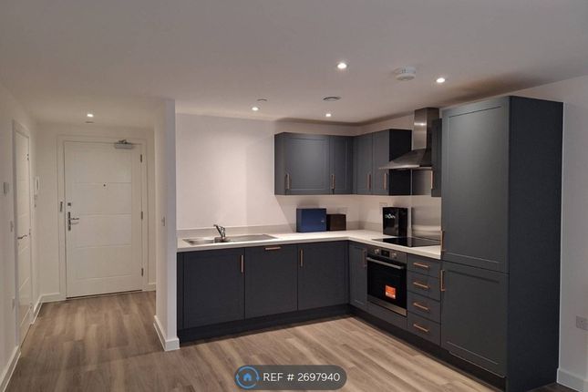 Open Plan Kitchen /Living/Dining Room