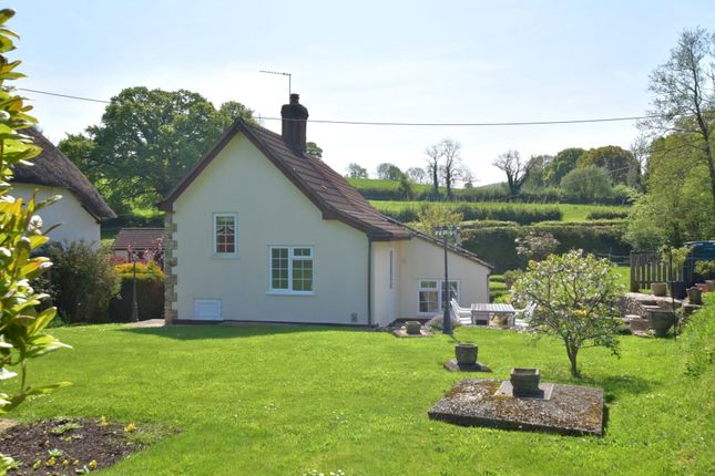 Cottage for sale in Farway, Colyton, Devon