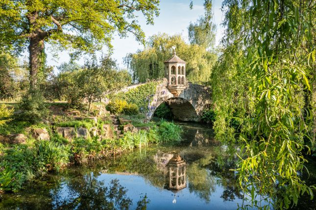 Water Garden