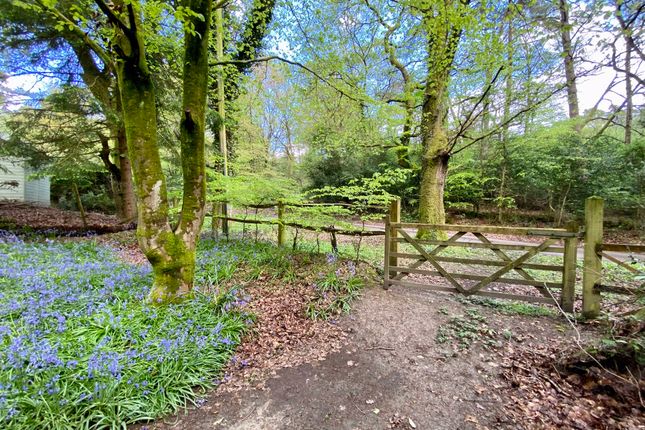 3 Anthony Place, Polecat Hill/Lion Lane, Hindhead/Haslemere border, Polecat Hill/Lion Lane, Hindhead/Haslemere border, Hindhead/Haslemere border photo 2
