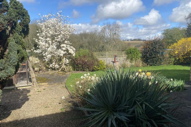 Detached bungalow for sale in The Village, Abberley, Worcester