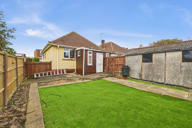 Cam03519G0-Pr0406-Still008