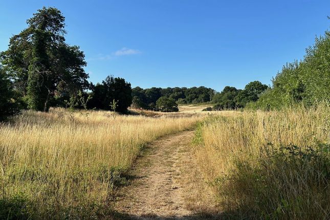 Path Close-By