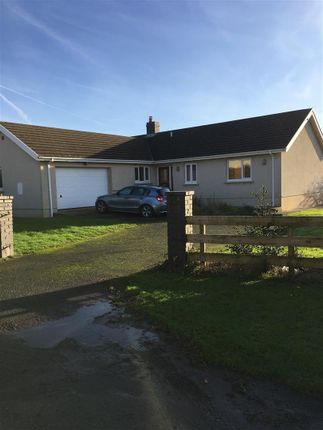Thumbnail Detached house to rent in Hill Crescent, Houghton, Milford Haven
