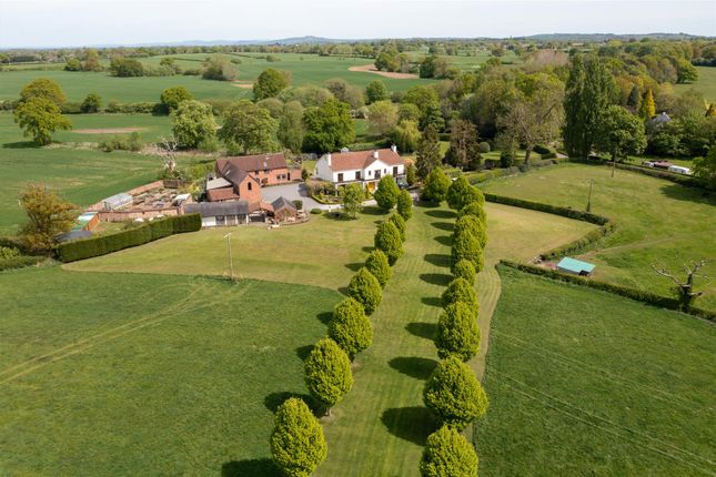 Buddileighfarm-49.Jpg