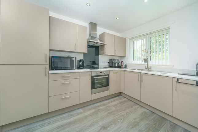 7 Murray Gardens, Morpeth photo 4