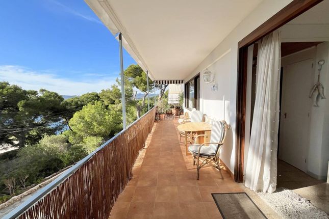 Apartment for sale in Costa De Los Pinos, Costa De Los Pinos, Mallorca, Spain