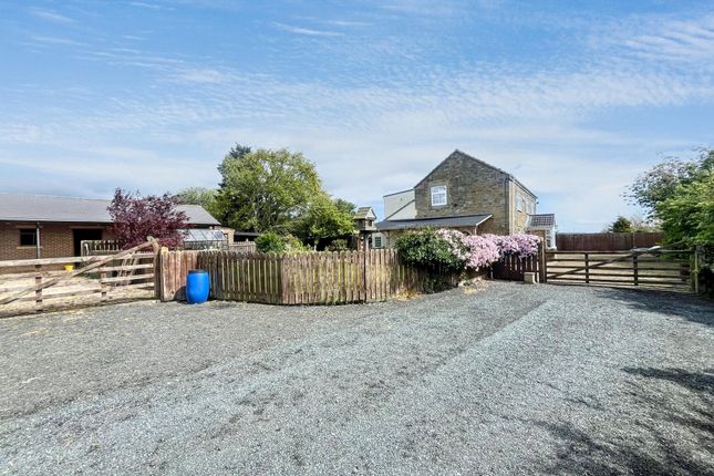 Grange Villa Farm, Ulgham, Morpeth photo 4