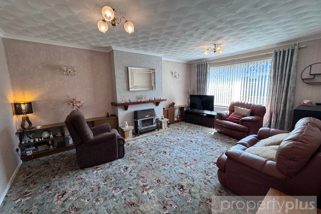 The Conifer,, Mary Street, Rhondda Cynon Taff photo 2