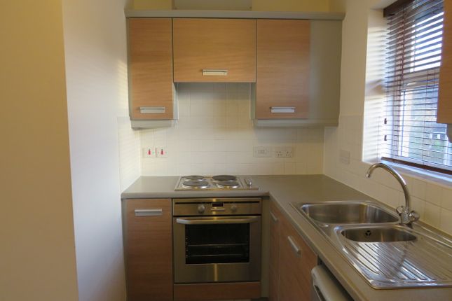 14, CORBY photo 4