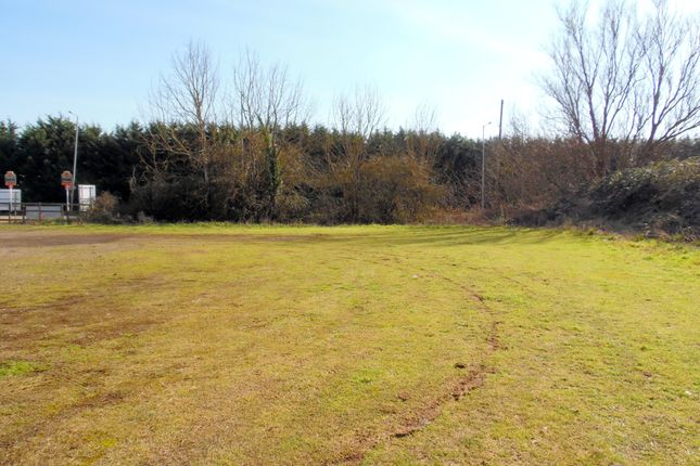 Image Shows Plots 2 &amp; 3