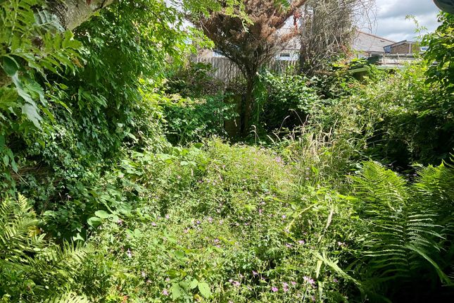 10, Mangers Place, Dover photo 4