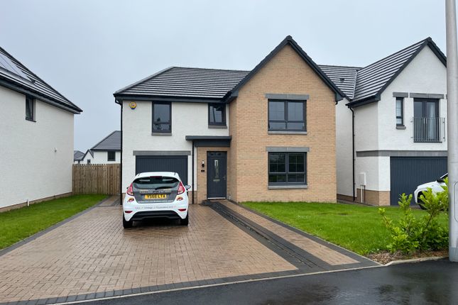 Thumbnail Detached house to rent in Gairnhill, Countesswells, Aberdeen