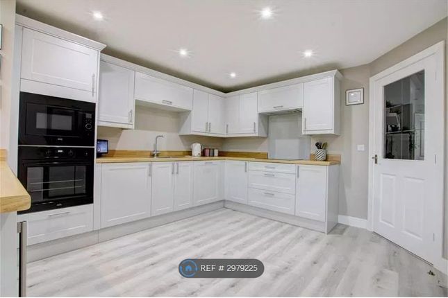Hexham Gardens, Consett photo 5