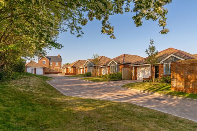 Plot 16, The Amberdale, Whitsbury Road, Fordingbridge photo 2