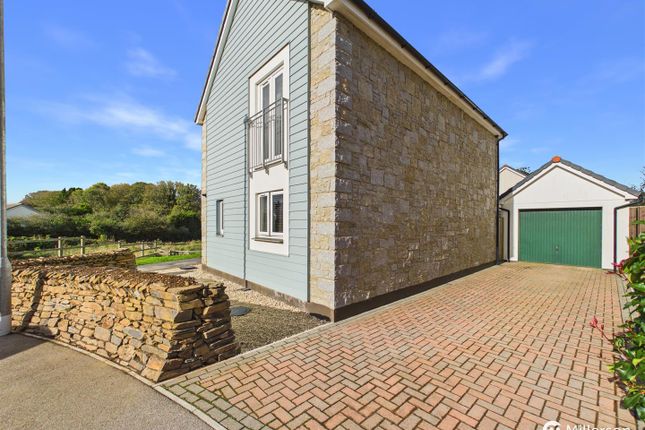 Hidderley Park, Camborne photo 3